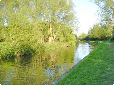View of canal immediately turning towards Fradley from Stenson Marina